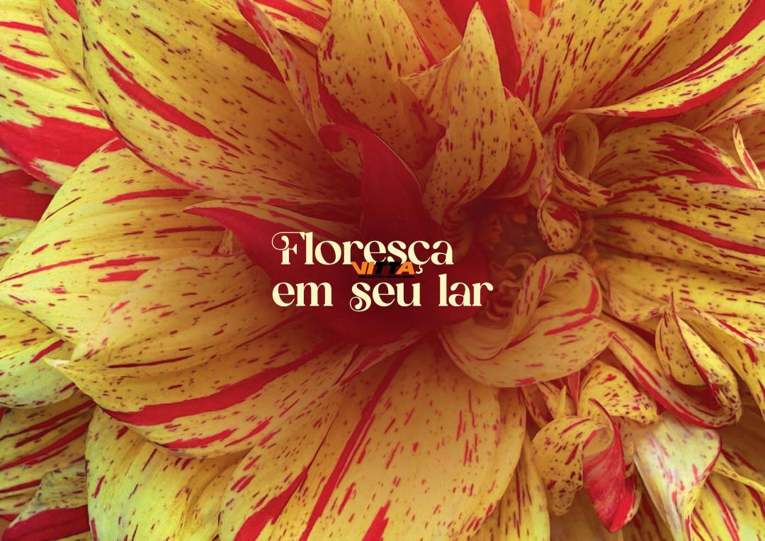 Apartamento, 2 quartos, 43 m² - Foto 8