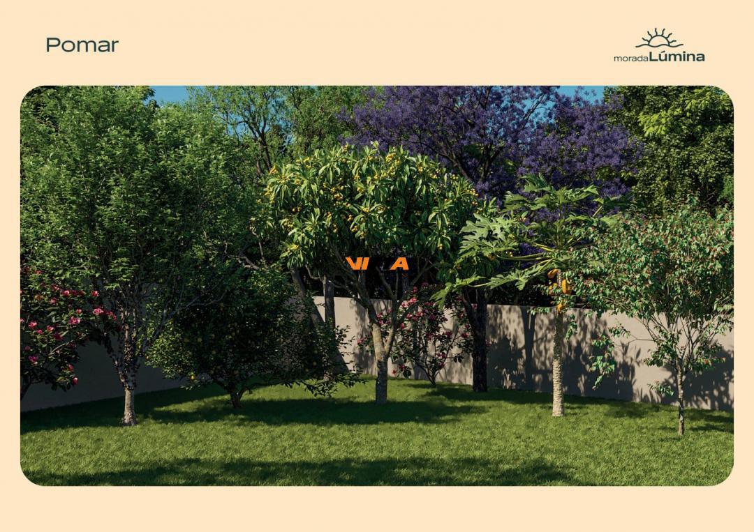 Apartamento, 2 quartos, 43 m² - Foto 15