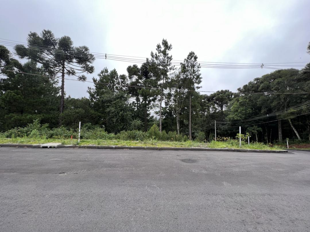 TerrenosVenda em Gramado no bairro Dutra