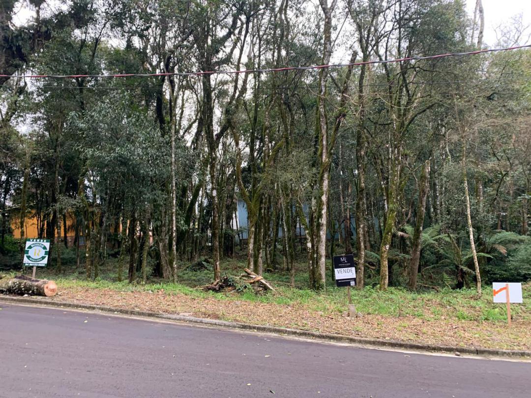 TerrenosVenda em Gramado no bairro Vivendas do Parque