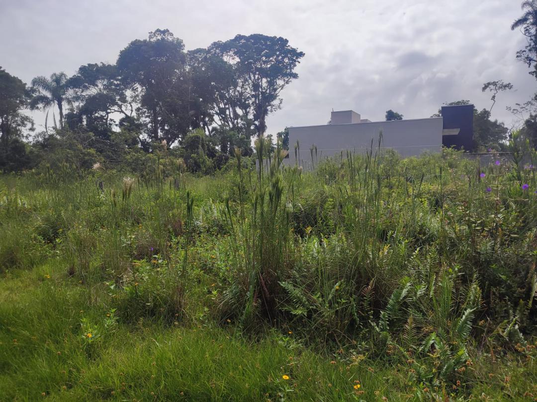 TerrenoVenda em Itapoá no bairro Brandalize