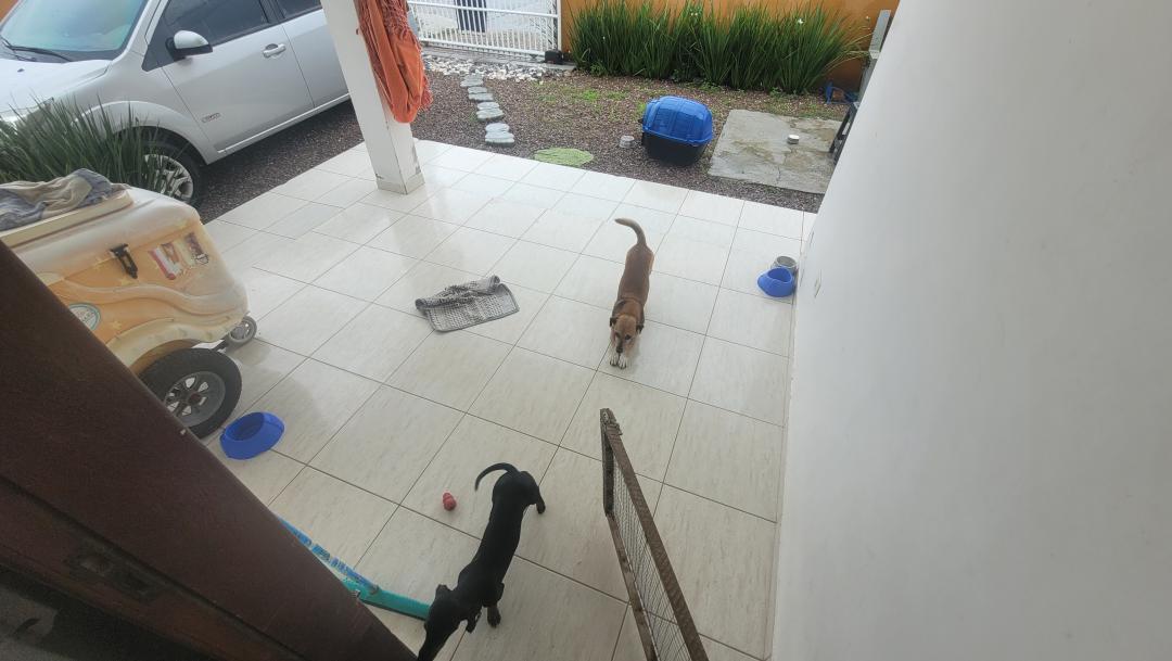 CasaVenda em Itapoá no bairro Jardim Perola do Atlantico