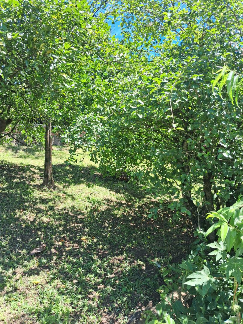 TerrenoVenda em SAPIRANGA no bairro Centenário