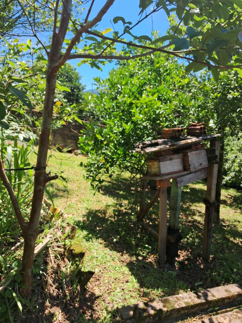 TerrenoVenda em SAPIRANGA no bairro Centenário