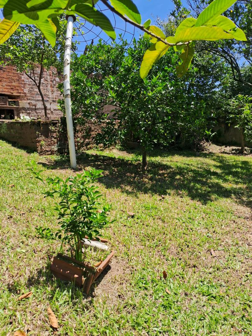 TerrenoVenda em SAPIRANGA no bairro Centenário