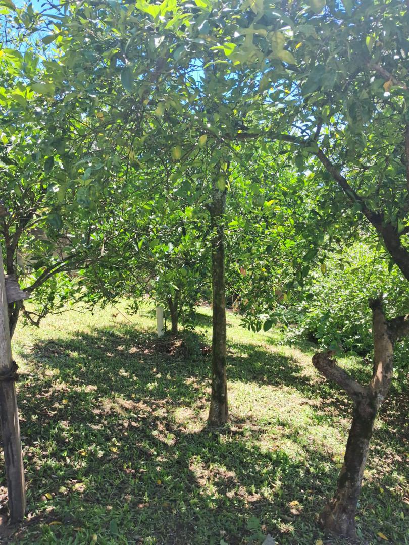 TerrenoVenda em SAPIRANGA no bairro Centenário