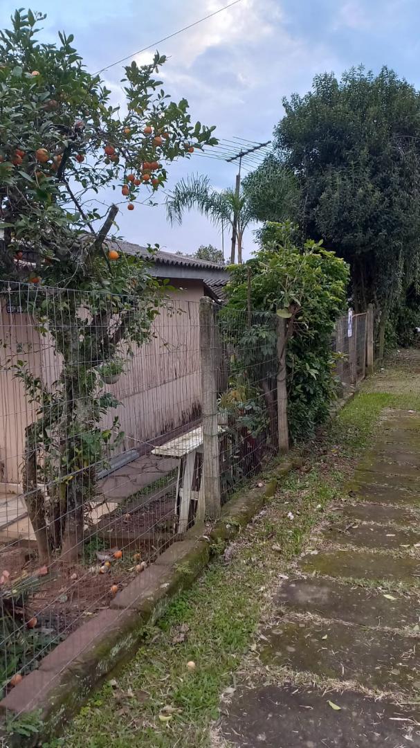 TerrenoVenda em SAPIRANGA no bairro São Jacó