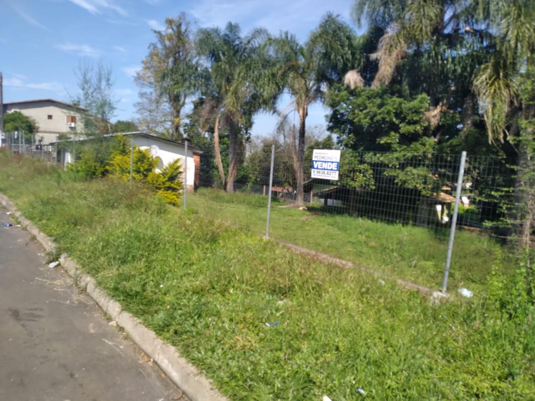 Terreno com casaVenda em São Leopoldo no bairro Scharlau