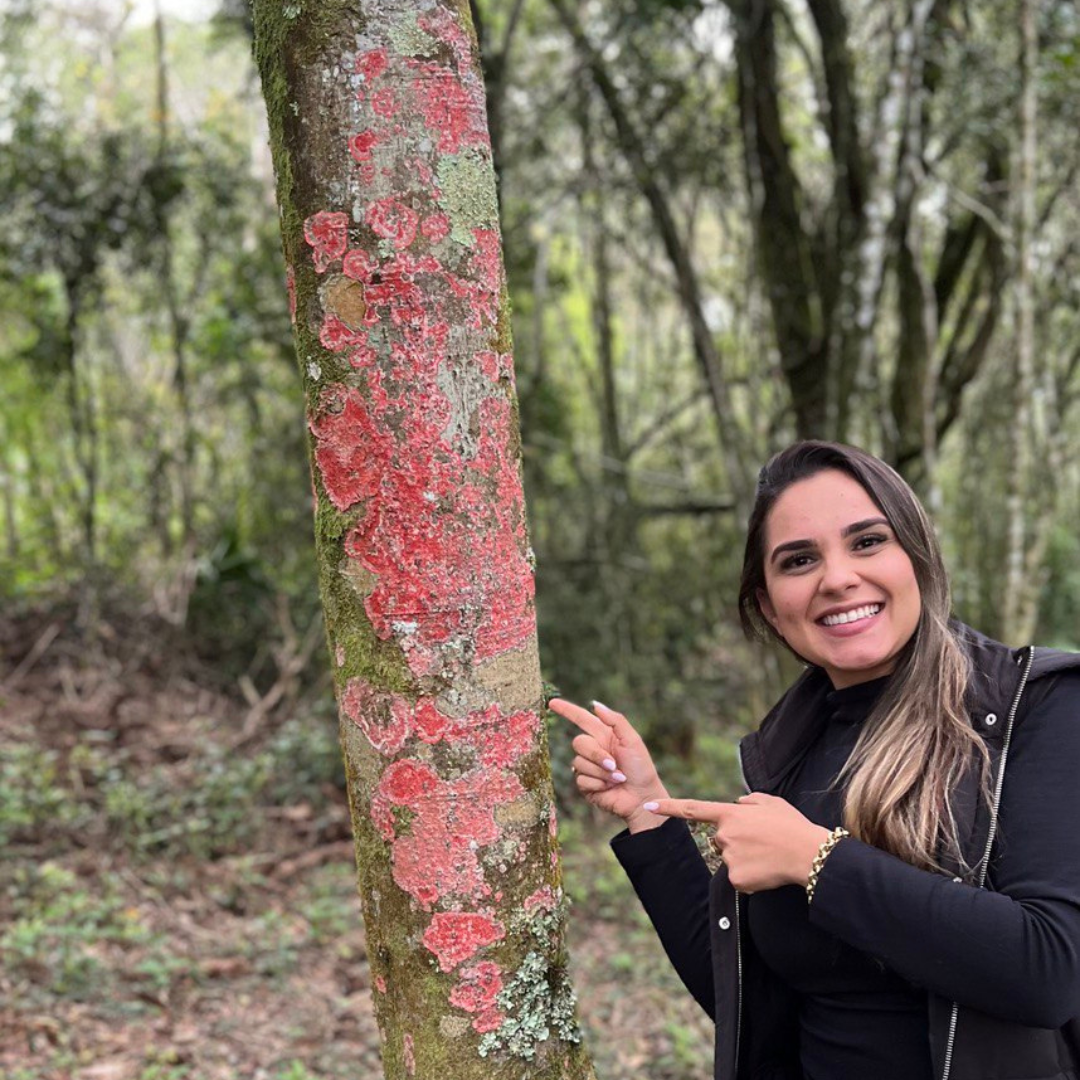 Respiramos ar puro em São Francisco de Paula!!!