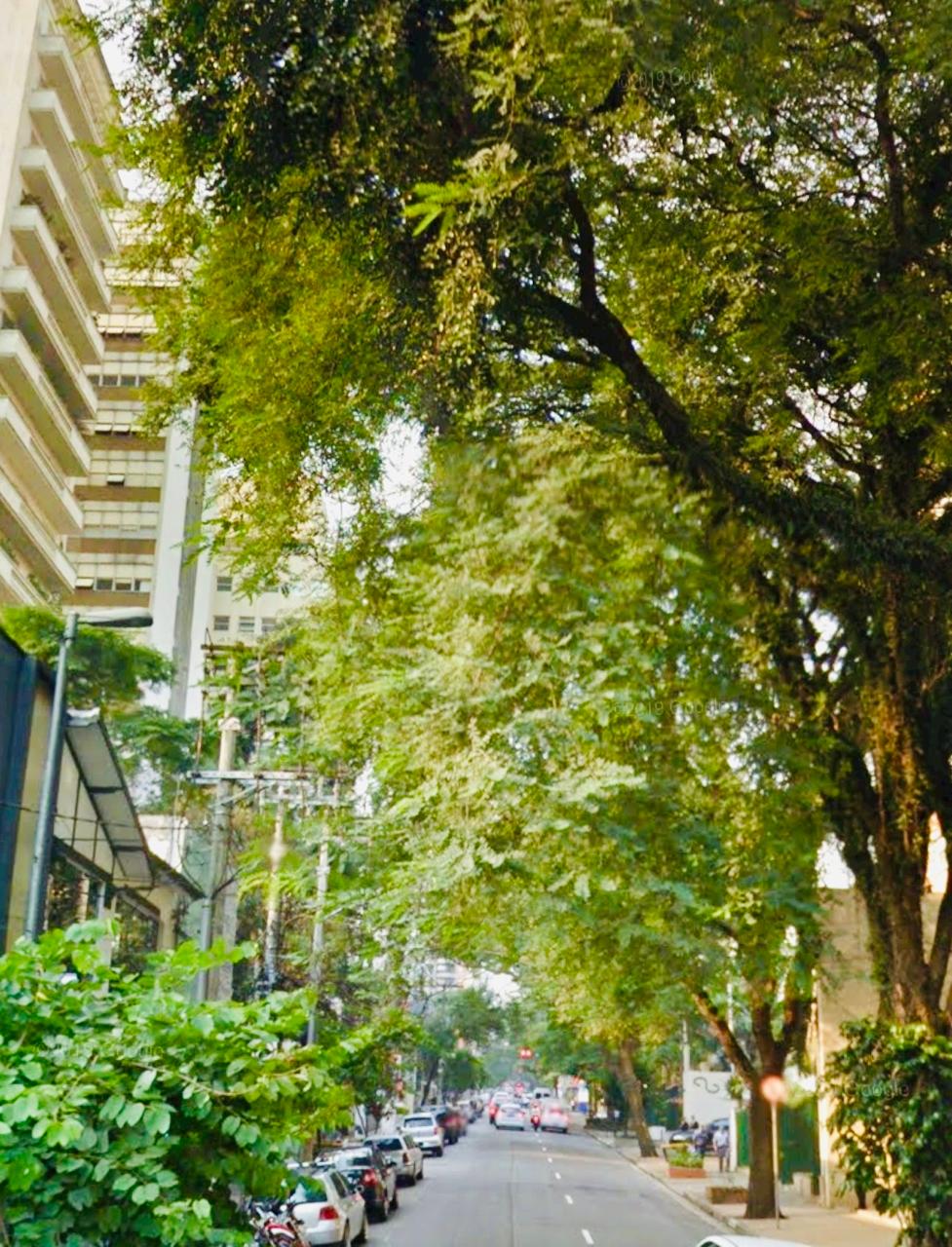 A Historia dos Jardins em São Paulo e sua nova Reestruturação