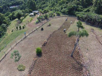 Chácara - Sítio à venda no bairro Vila Olinda, Nova Petrópolis, Referencia: A-8009