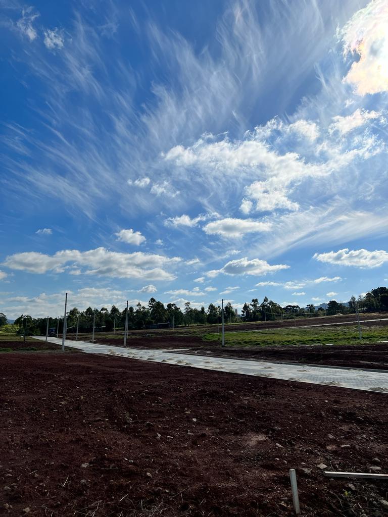 Terreno em Horizonte, Sapiranga, foto 5 de 8