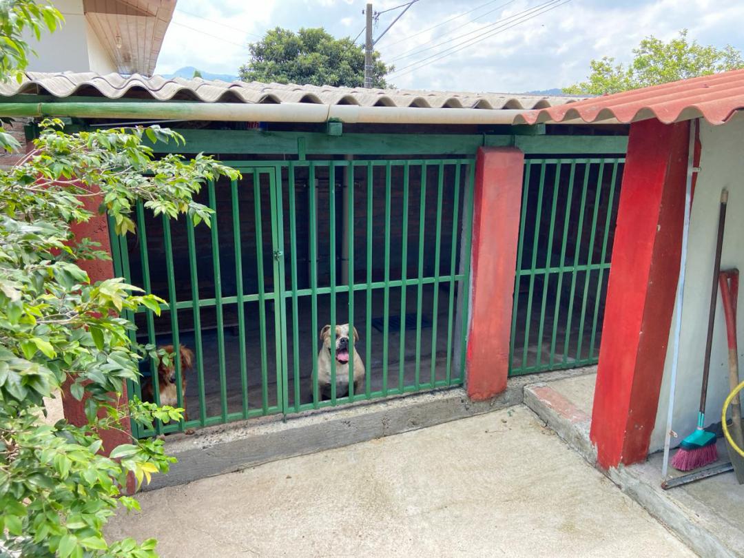 Casa Mista em Santa Lucia, Campo Bom, foto 7 de 38