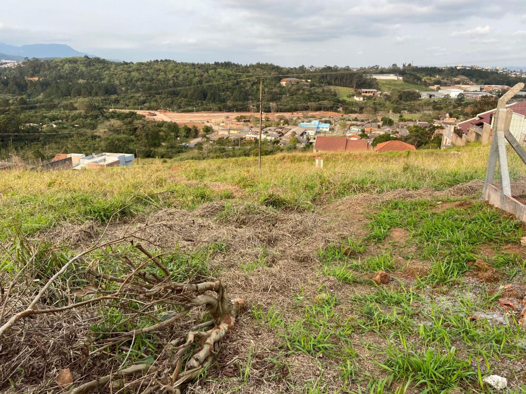 Terreno em Imigrante, Campo Bom, foto 3 de 4