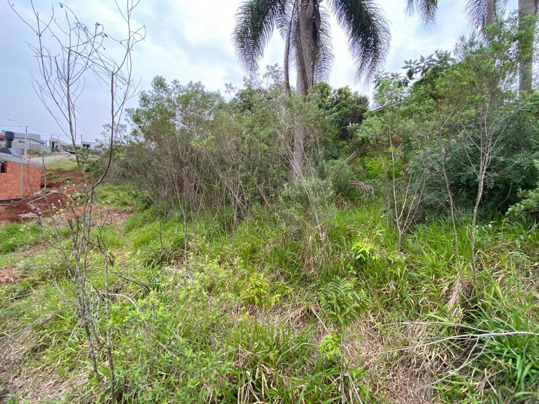 Terreno em Moradas da Colina, Campo Bom