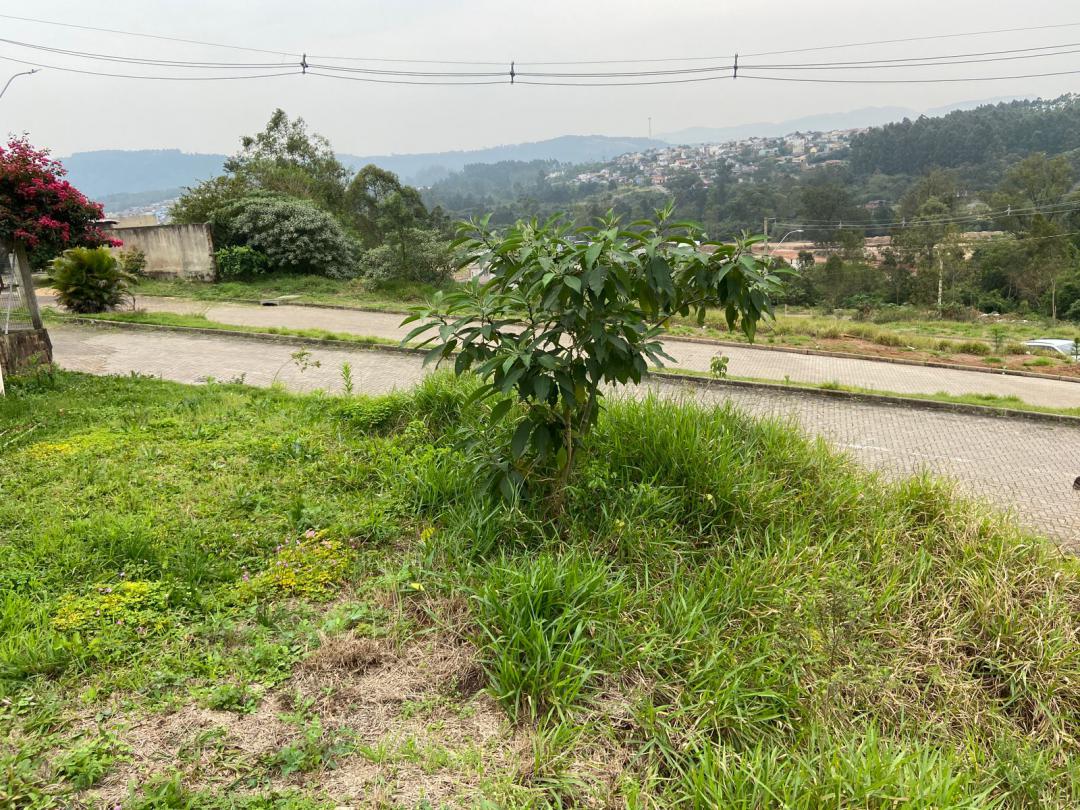 Terreno em Moradas da Colina, Campo Bom, foto 2 de 3