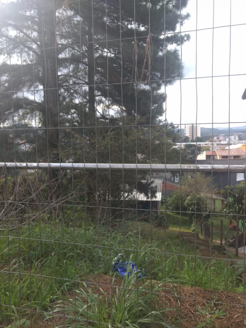 Terreno em Centro, Campo Bom