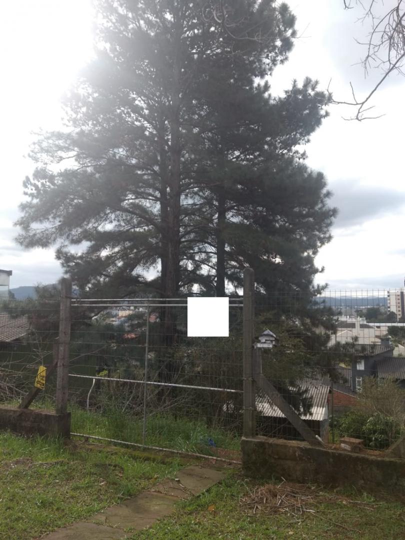 Terreno em Centro, Campo Bom, foto 4 de 4