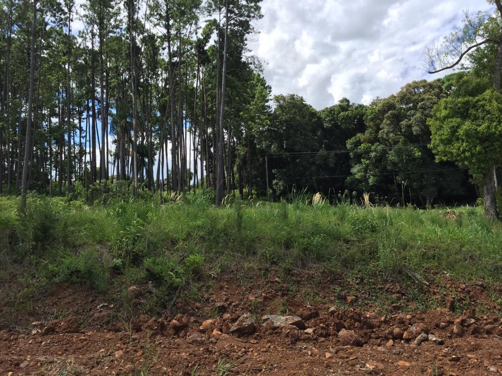 Terreno em Lot. Sol Poente, Dois Irmãos, foto 2 de 9