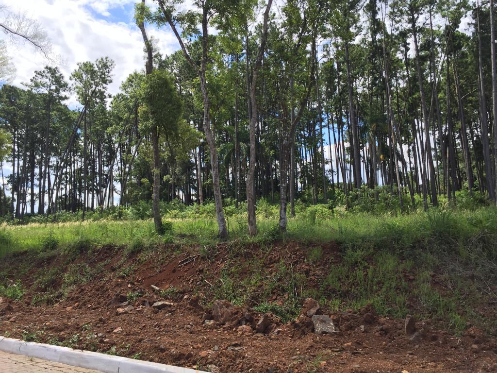 Terreno em Lot. Residencial do Lago II, Dois Irmãos