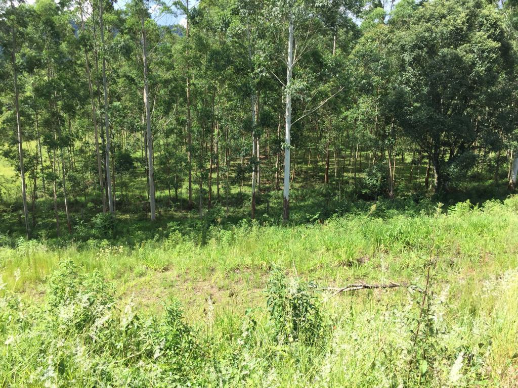 Terreno em Lot. Residencial do Lago II, Dois Irmãos, foto 4 de 12
