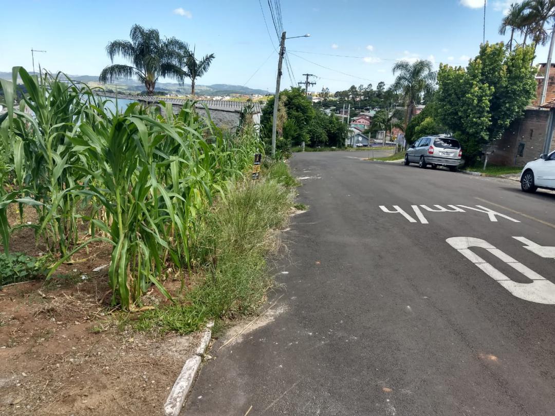 Terreno em Santa Lucia, Campo Bom, foto 4 de 7