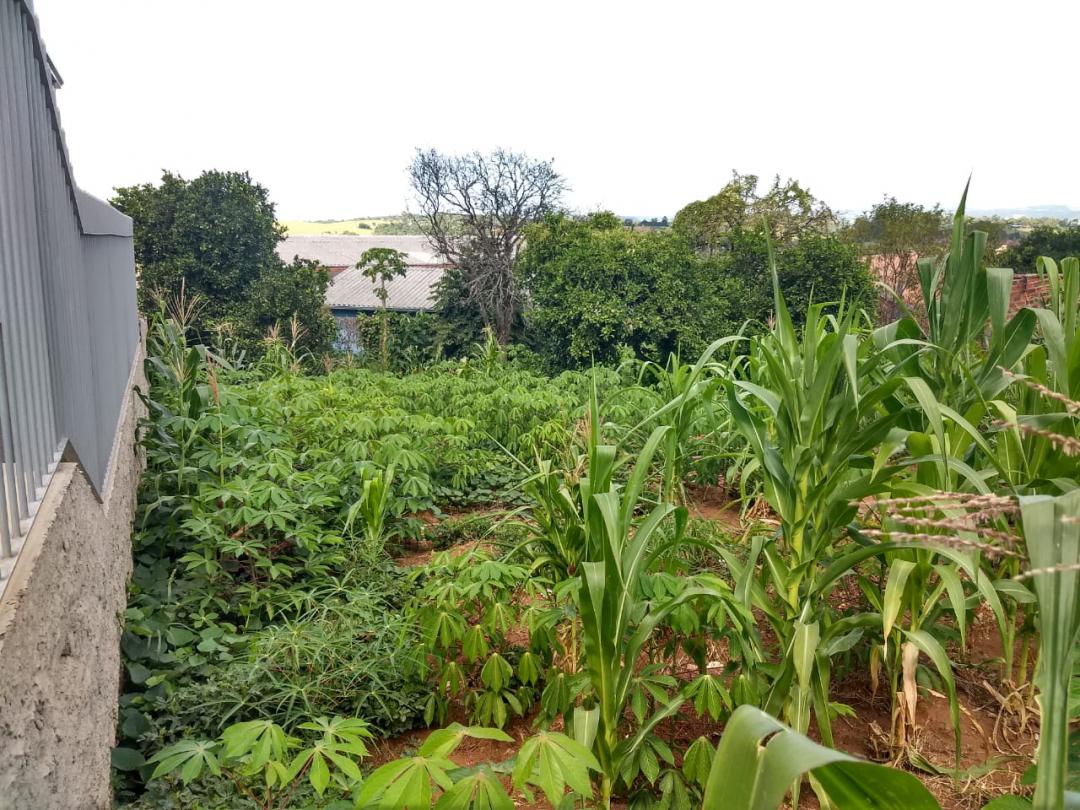 Terreno em Santa Lucia, Campo Bom, foto 5 de 7