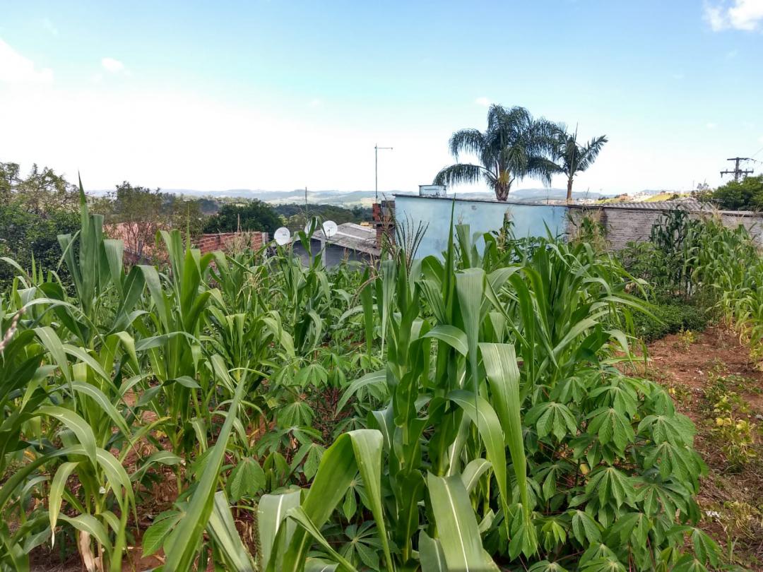 Terreno em Santa Lucia, Campo Bom, foto 6 de 7