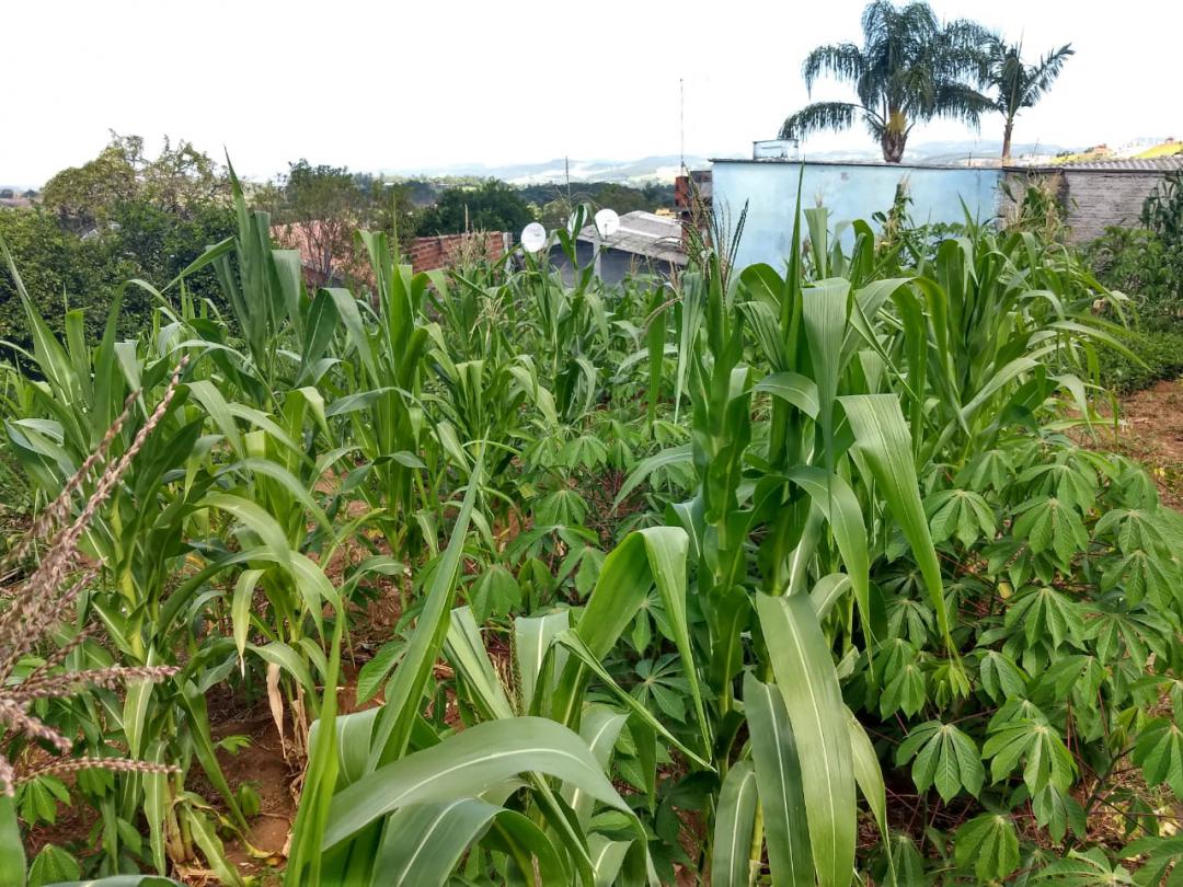 Terreno em Santa Lucia, Campo Bom, foto 7 de 7