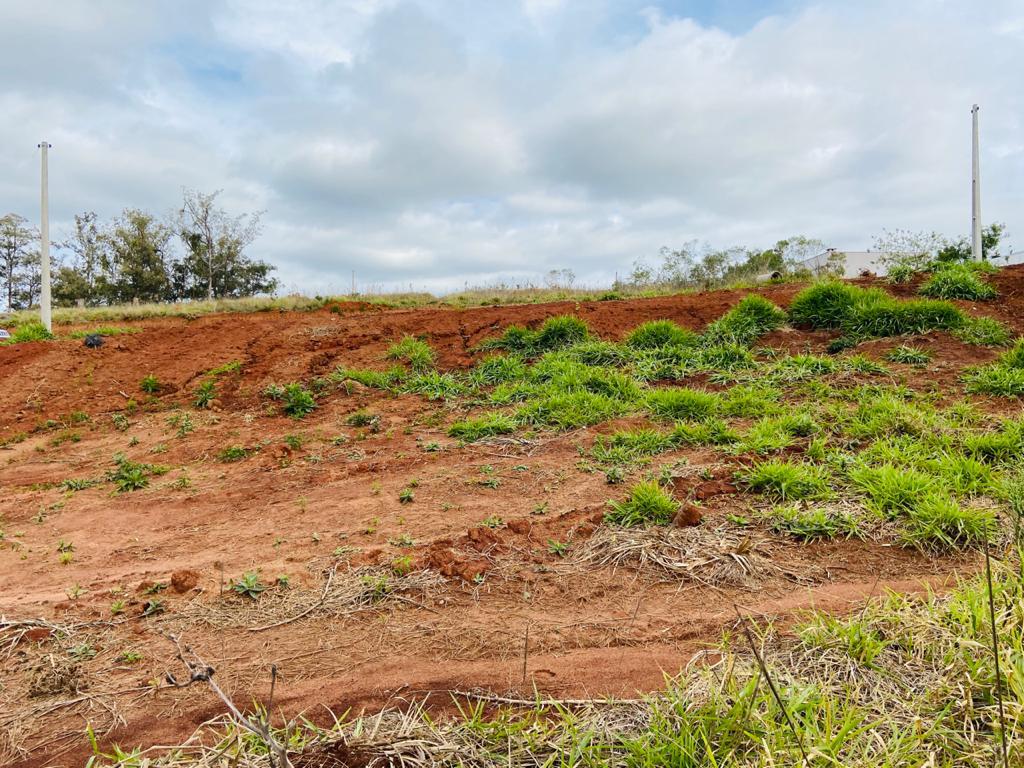 Terreno em Loteamento Firenze, Campo Bom
