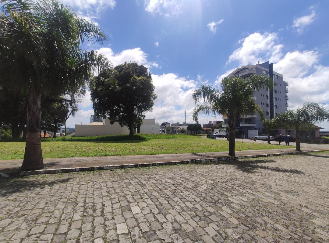 Banner Página