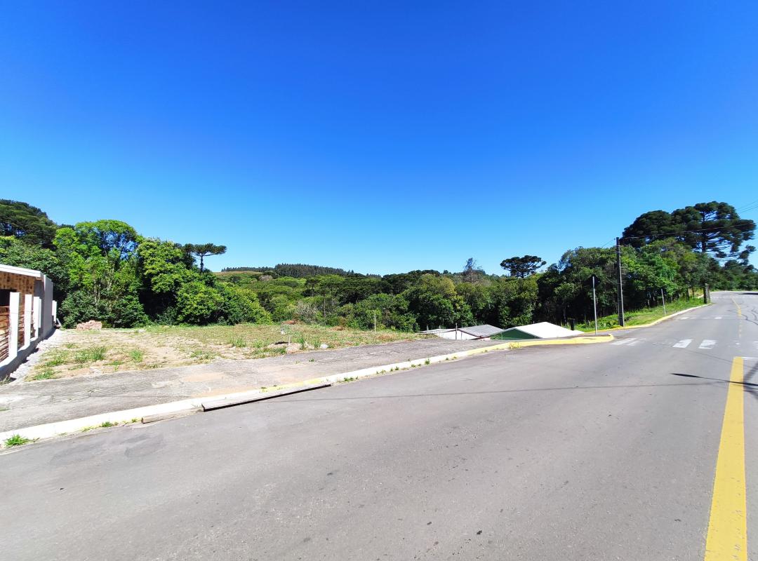 Banner Página