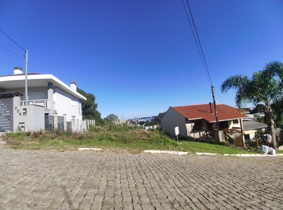 Banner Página