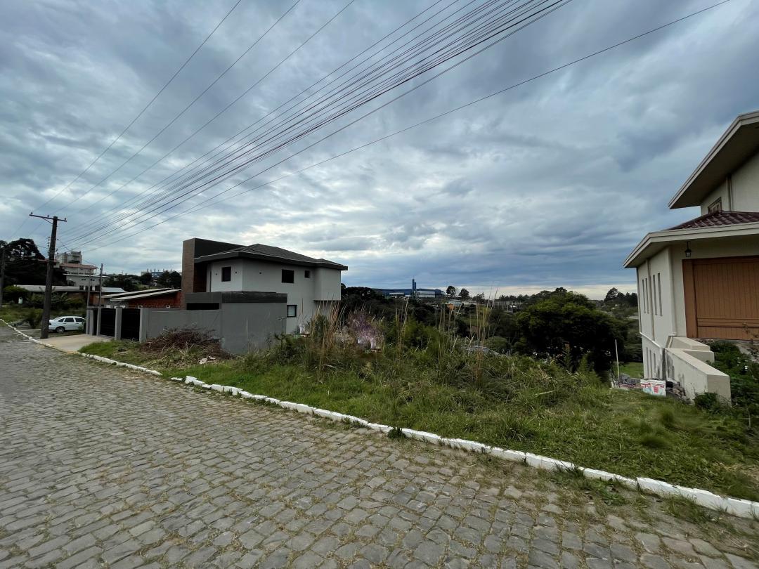 Banner Página