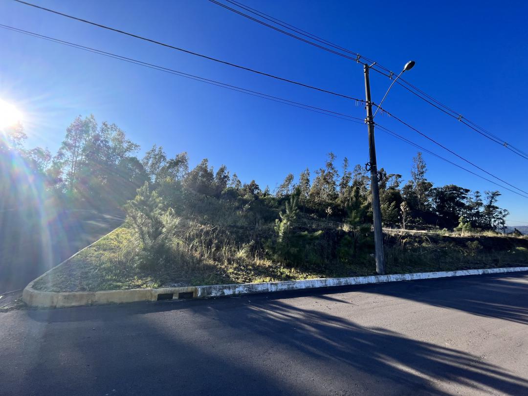 Banner Página