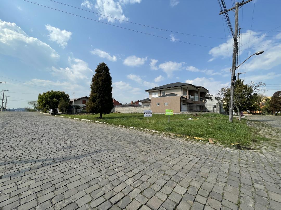 Banner Página