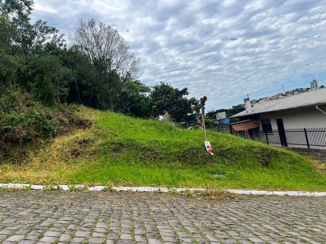 Banner Página