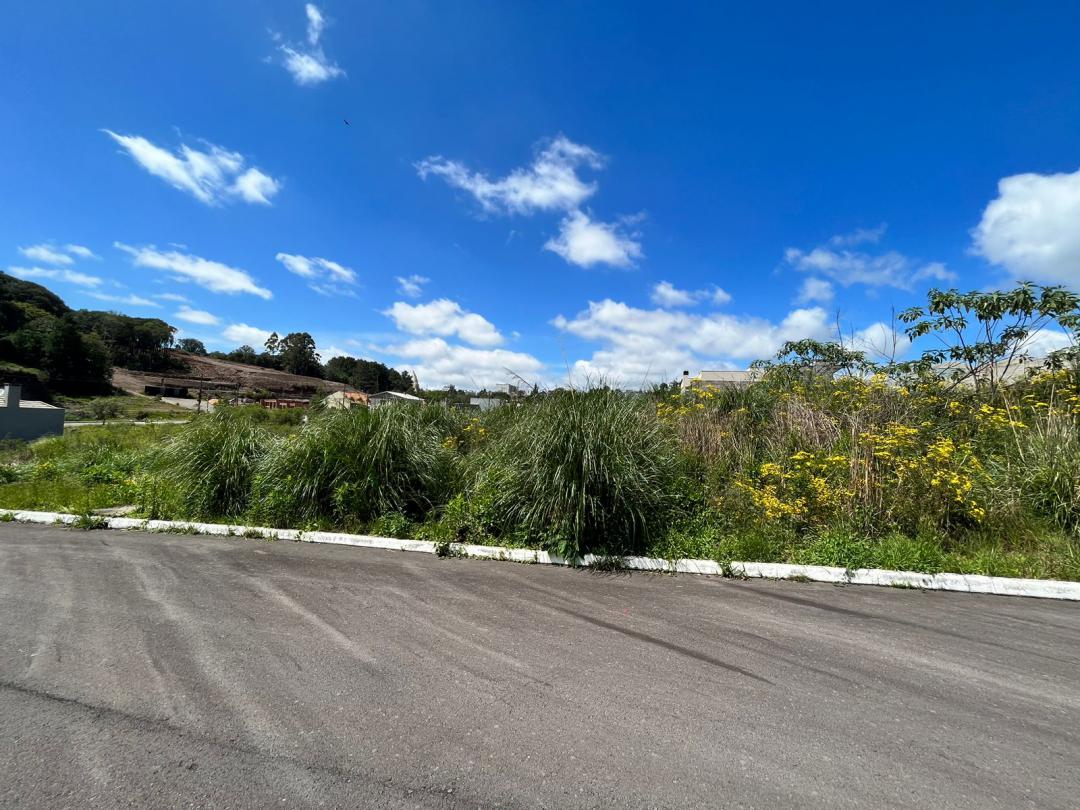 Banner Página