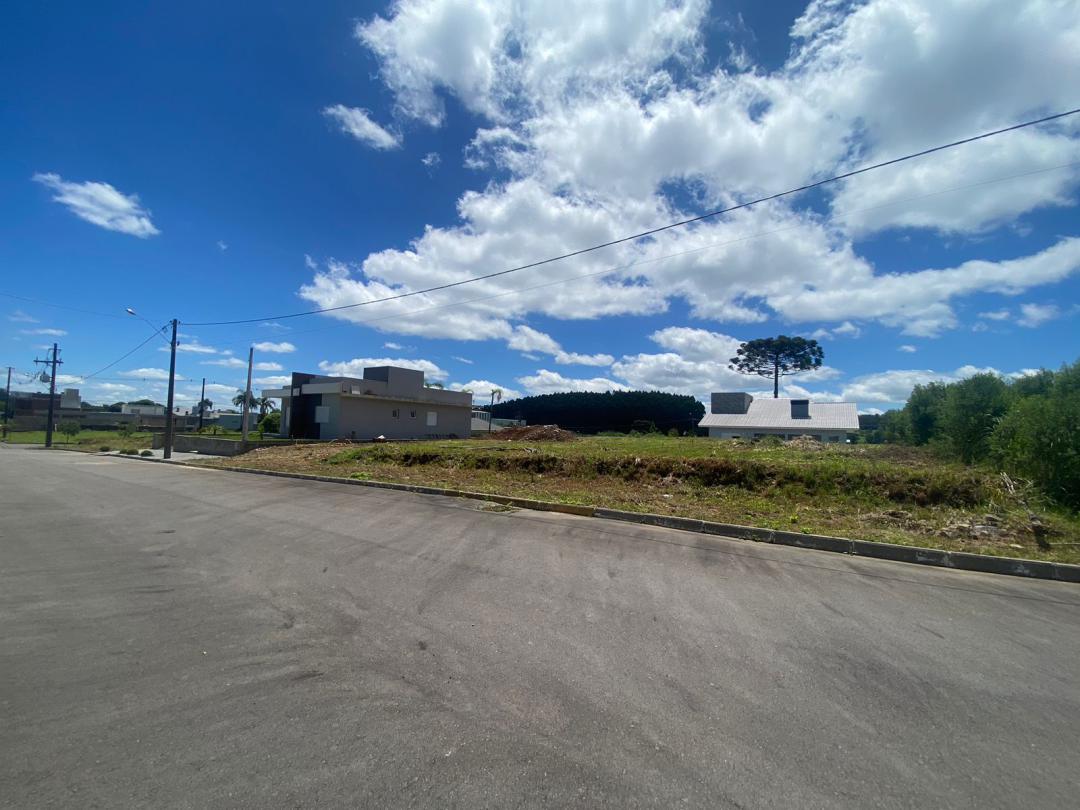 Banner Página