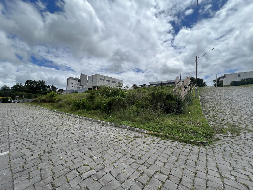 Banner Página