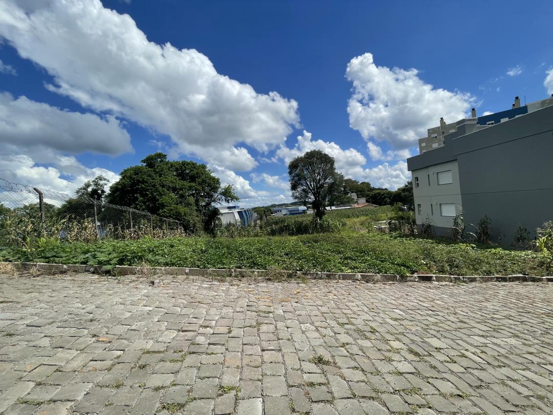 Banner Página