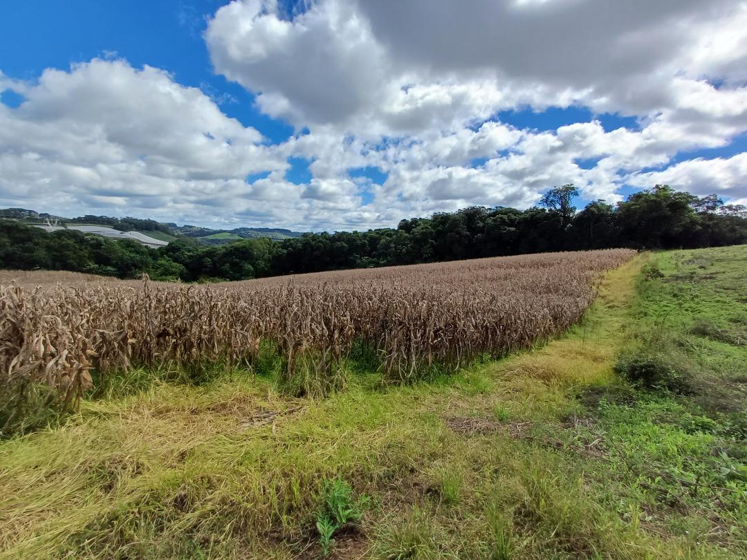 Banner Página
