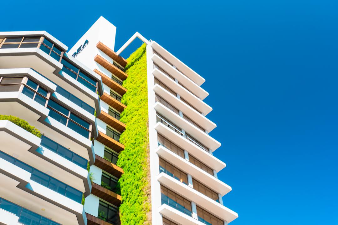 Banner Página