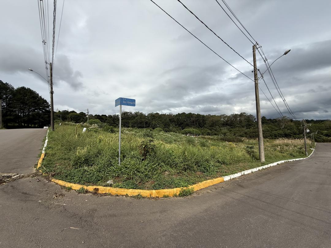 Banner Página