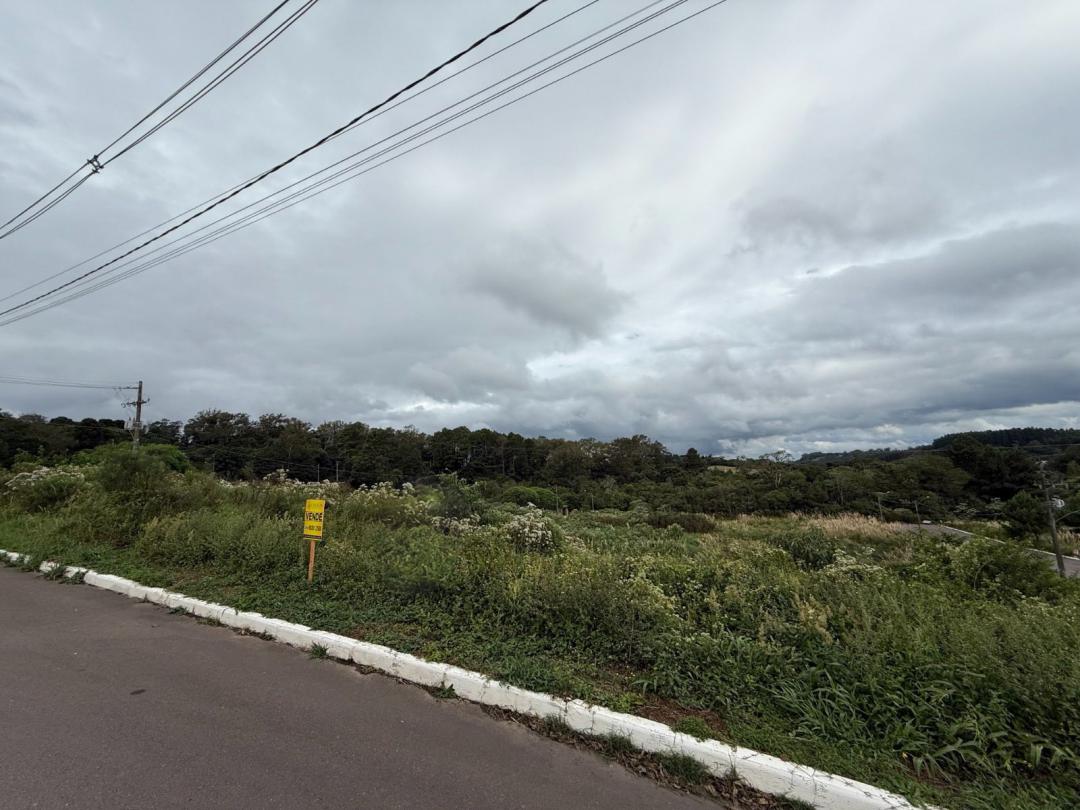 Banner Página