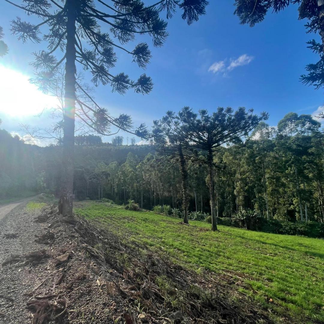 Banner Página