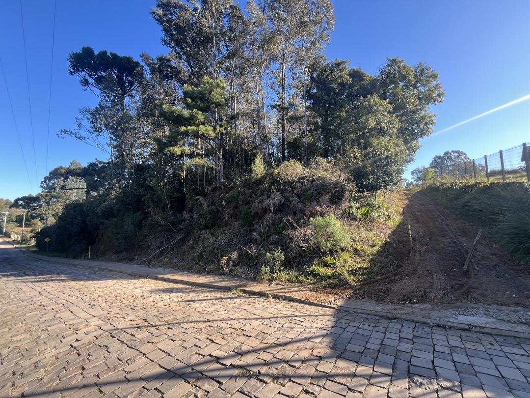 Banner Página