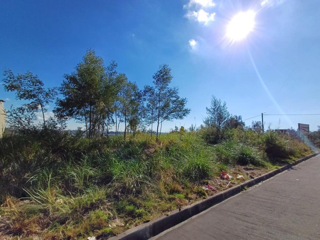 Banner Página