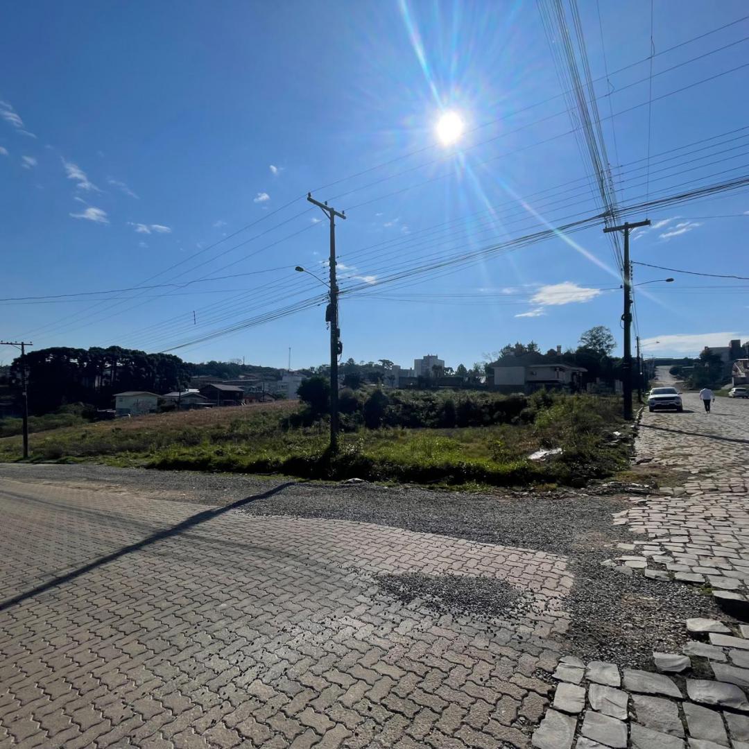 Banner Página