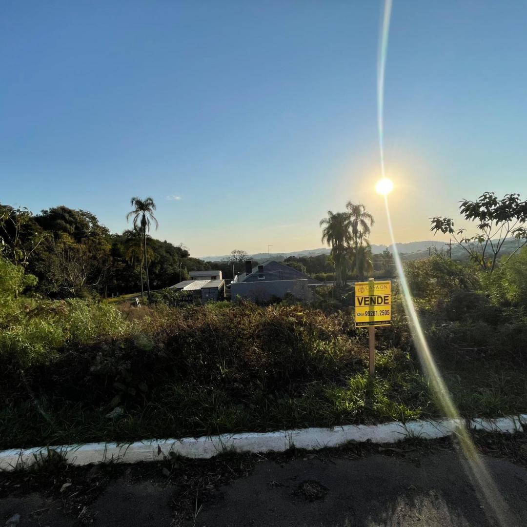 Banner Página